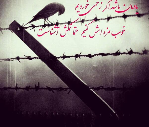 عکس پروفایل تیکه دار نمک نشناسی