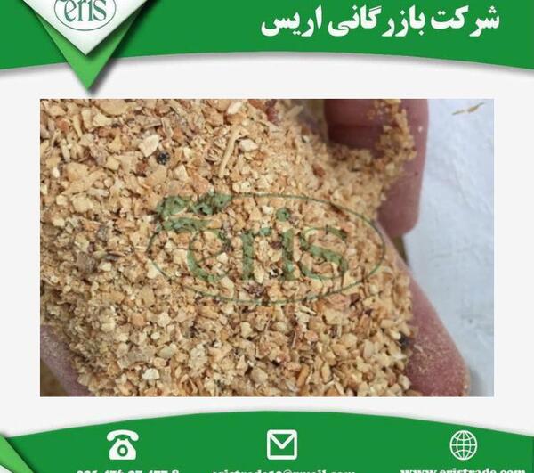 عکس سویا دامی