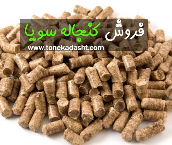 عکس سویا دامی