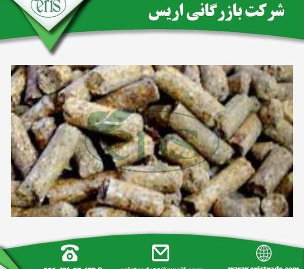 عکس سویا دامی