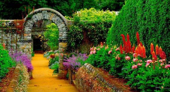 ذخیره عکس طبیعت