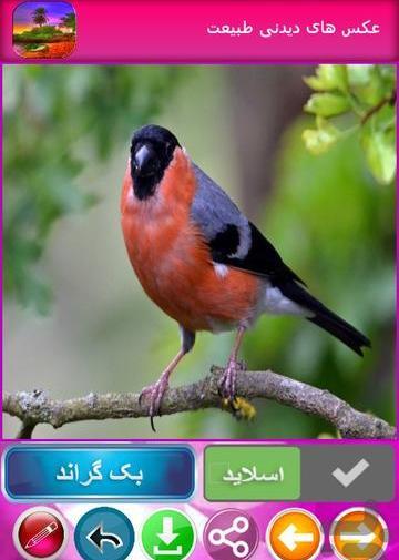 ذخیره عکس طبیعت