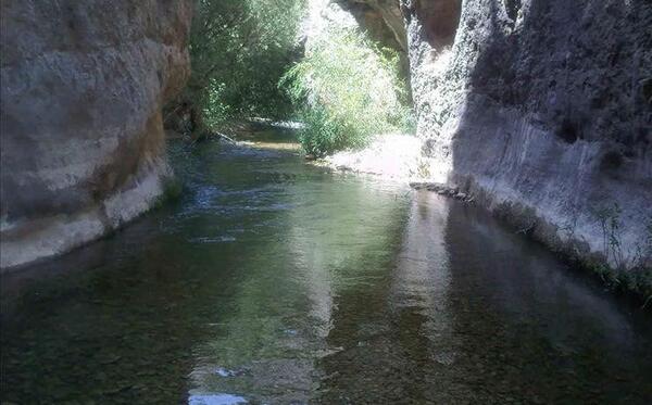 عکس بهشت گمشده ی شیراز