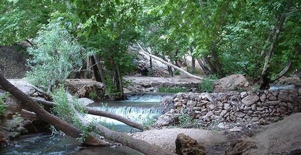 عکس بهشت گمشده ی شیراز