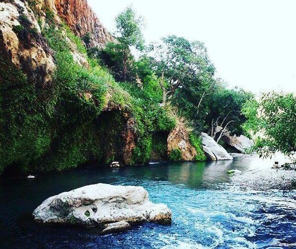 عکس بهشت گمشده ی شیراز