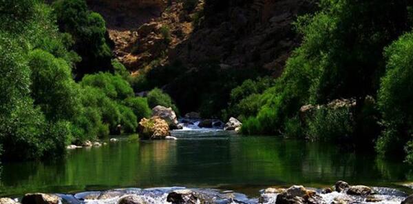 عکس بهشت گمشده ی شیراز