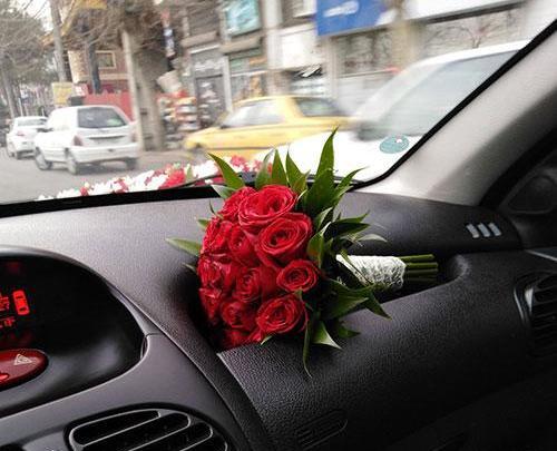 عکس گل در دست دختر طبیعی