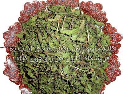 عکس نعناع فلفلی