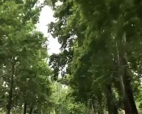 عکس جاده فومن