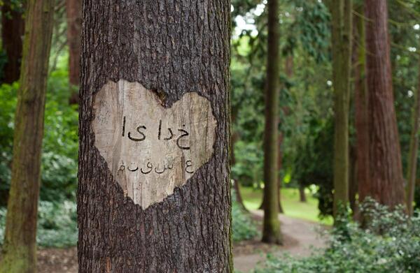 عکس سمیرا نوشته