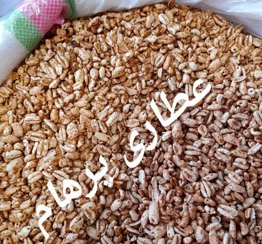 عکس شیرین گندمک