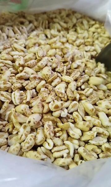 عکس شیرین گندمک