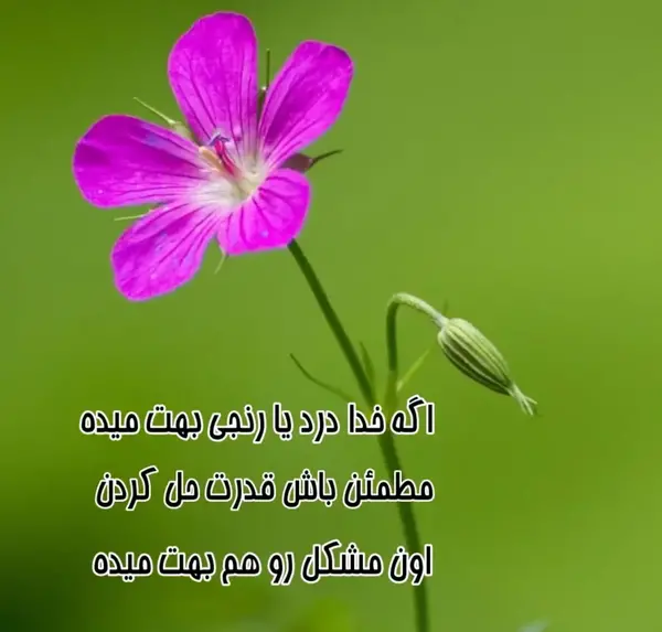 عکس نوشته عکس نوشته جدید