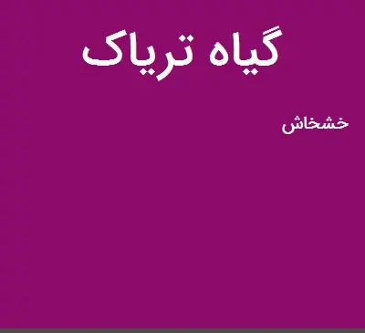 عکس گیاه تریاک