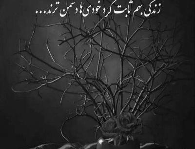 عکس خدایا هوا سرده