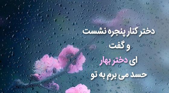 عکس نوشته زندگی گر هزار باره بود بار دیگر تو