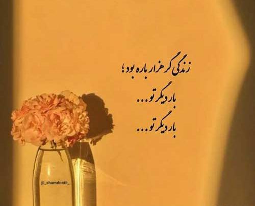 عکس نوشته زندگی گر هزار باره بود بار دیگر تو