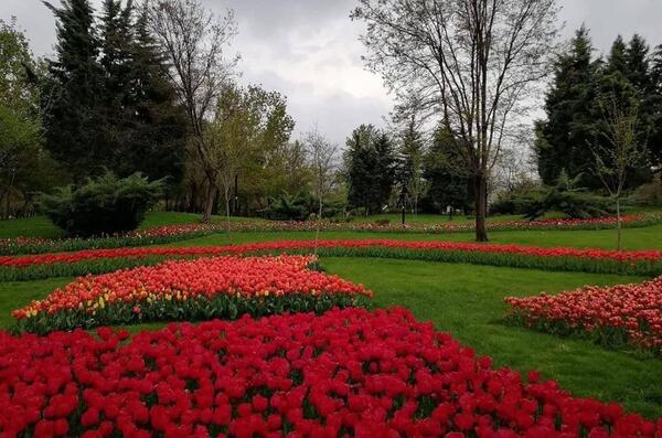 عکس بهار پارک ملت مشهد