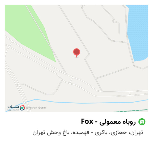 عکس روباه معمولی