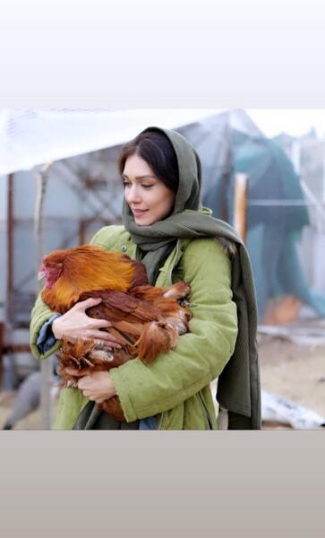 عکس طوطی شهرزاد کمال زاده