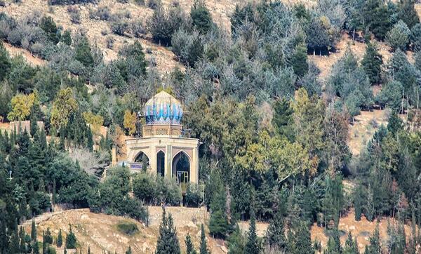 عکس زامبی در شیراز