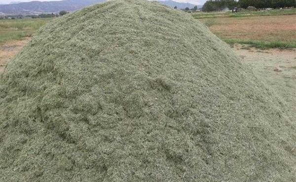 عکس یونجه خشک شده