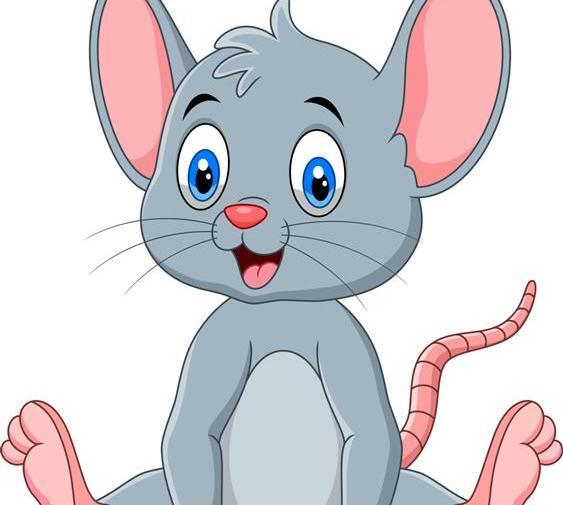 عکس موش زیرخاکی