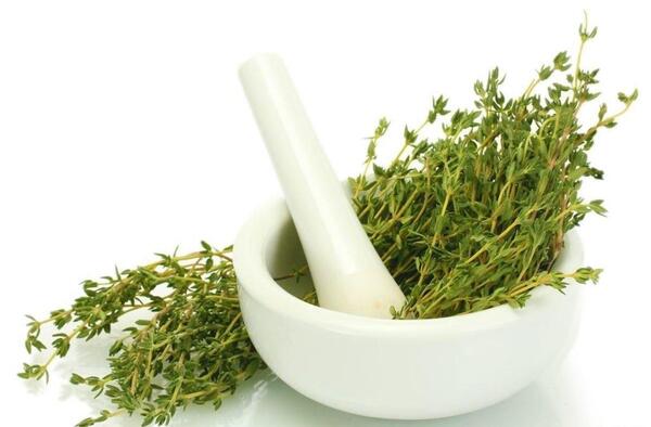 عکس اویشن وحشی