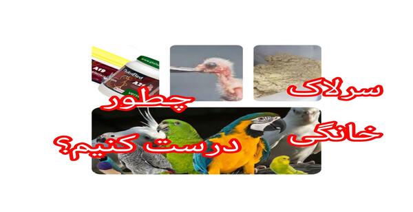 عکس عروس هلندی تو لک