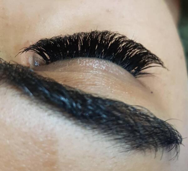 عکس کاشت تره