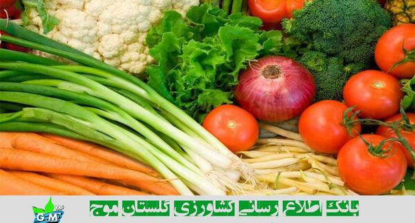 عکس کاشت تره