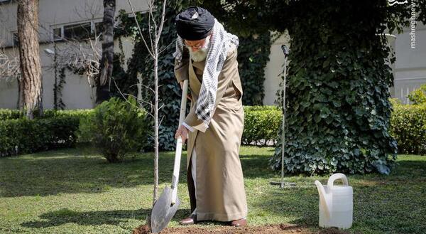 عکس کاشت تره