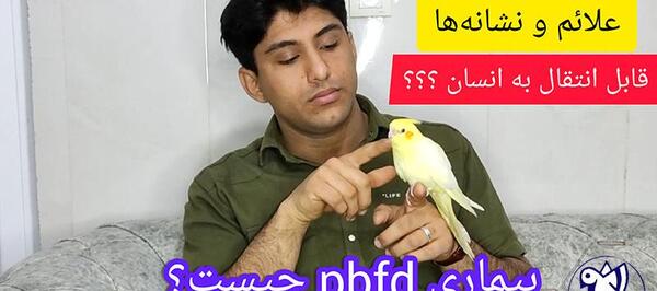 عکس عروس هلندی ایدزی