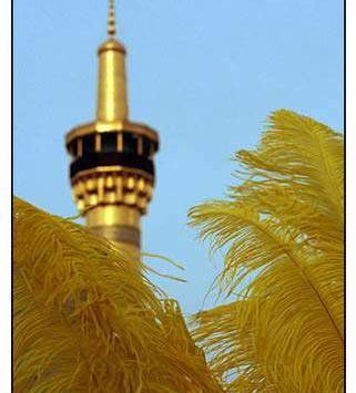 عکس های عاشورایی