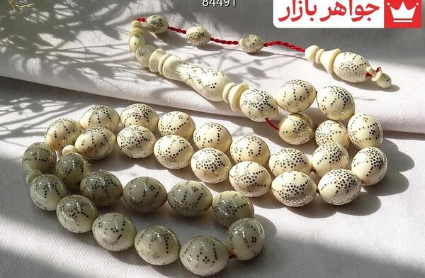 عکس عاج فیل