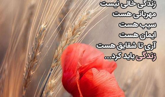 عکس نوشته شعر آب را گل نکنیم