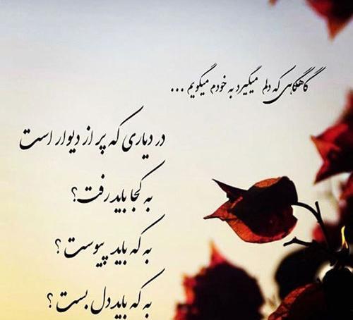 عکس نوشته شعر آب را گل نکنیم
