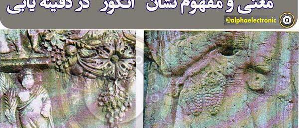 عکس طاووس در دفینه یابی