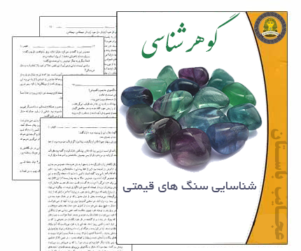عکس طاووس در دفینه یابی