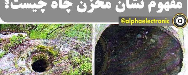 عکس طاووس در دفینه یابی