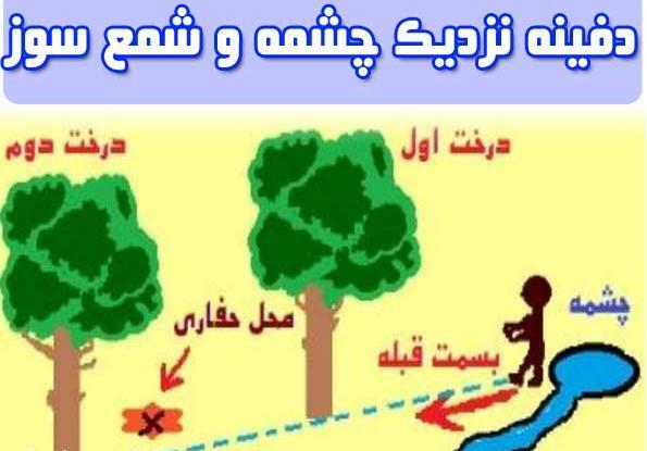 عکس طاووس در دفینه یابی