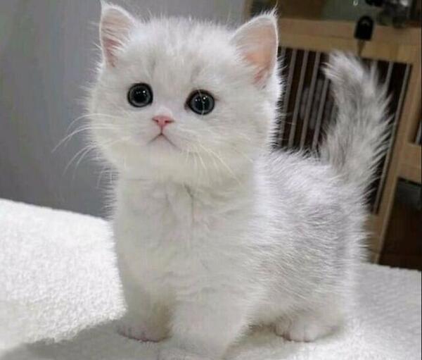 عکس ایده عکاسی تولد ویسگون