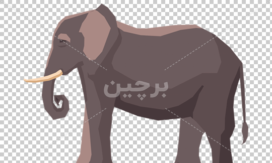 عکس دانلود وکتور فیل
