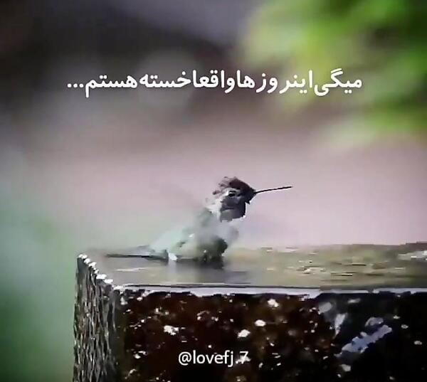 عکس نوشته زیبا حسبی الله