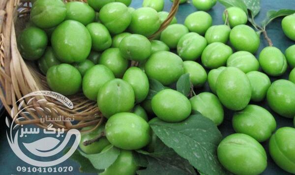 عکس الو سبز