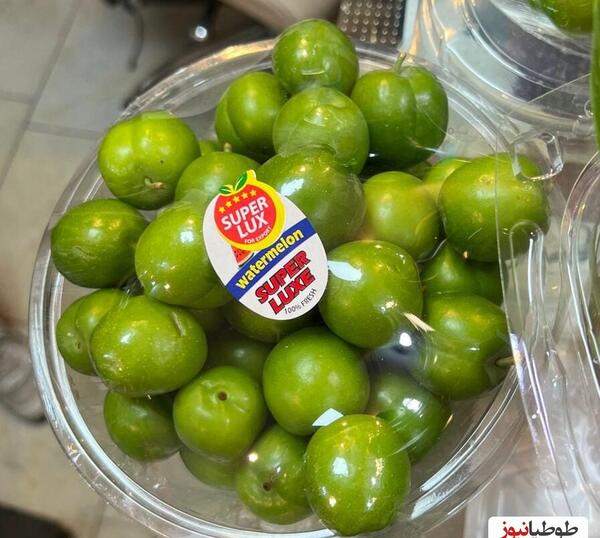عکس الو سبز