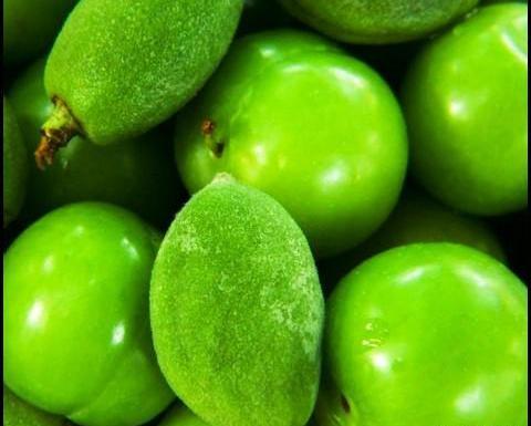 عکس الو سبز