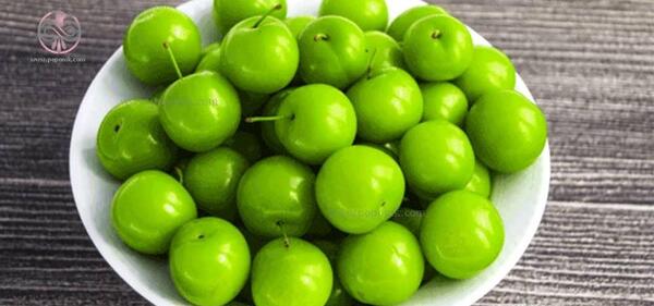 عکس الو سبز