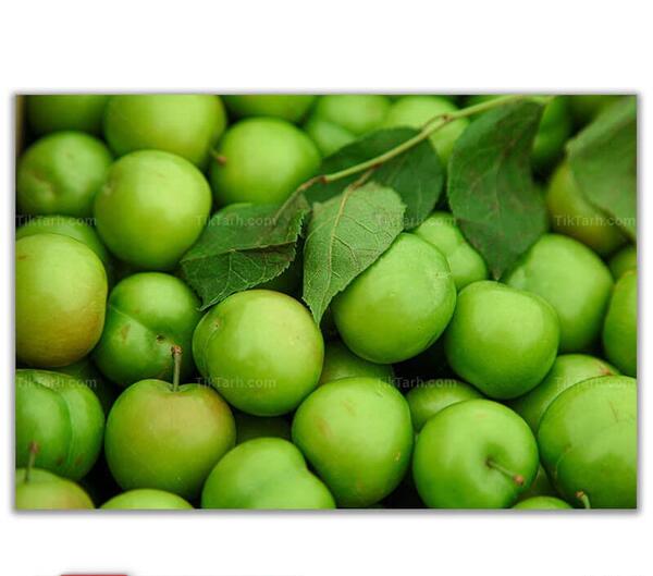 عکس الو سبز