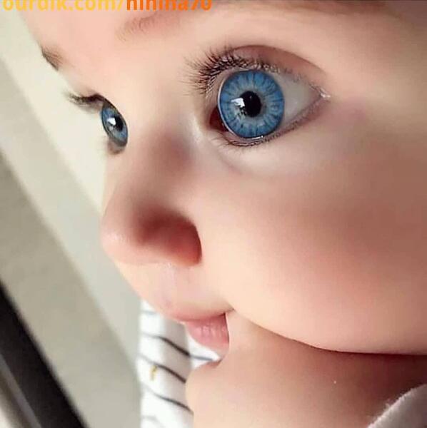 عکس تصویر زمینه گوشی نی نی سایت